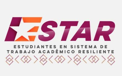 Miniatura de Programa E-STAR